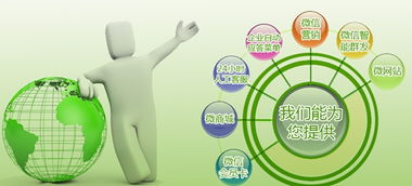 產品成長期 企業營銷型網站與產品共同成長的戰略融合