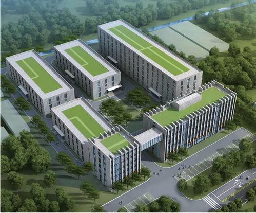 綿陽軟件設(shè)計(jì)產(chǎn)業(yè)駛?cè)肟燔嚨?政策加碼與創(chuàng)新突破共筑發(fā)展新高地